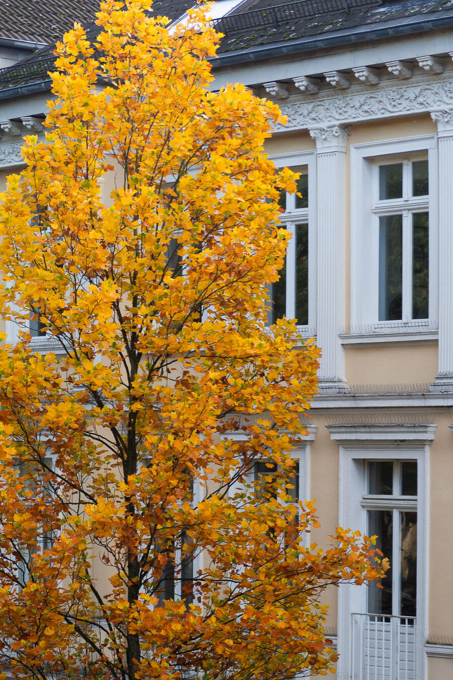 Praxisgebäude an der Lange Straße mit Herbstbaum